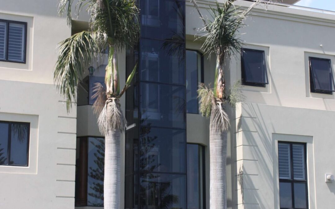 Hausaufzug – leistungsstark, leise, anpassbar